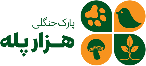 لوگو جنگل هزار پله