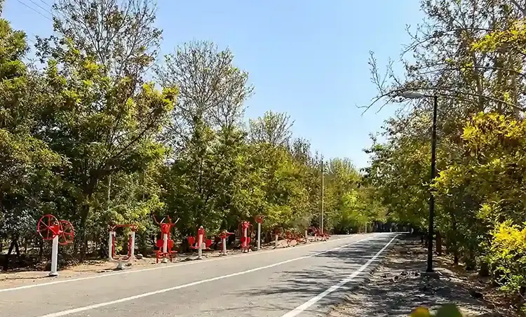 پارک‌های جنگلی مناسب برای دوچرخه ‌سواری
