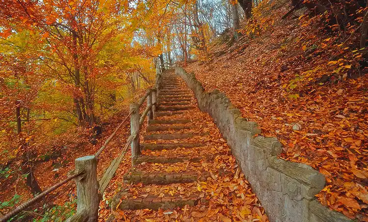 بهترین جاهای دیدنی در جاده هراز