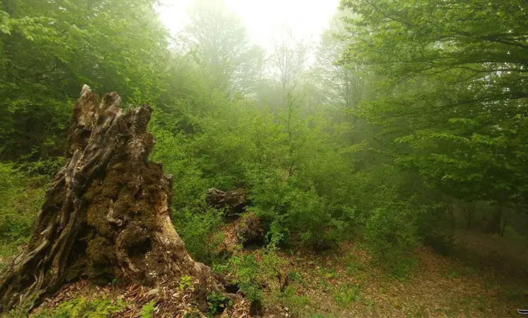 بهترین جاهای دیدنی در جاده هراز