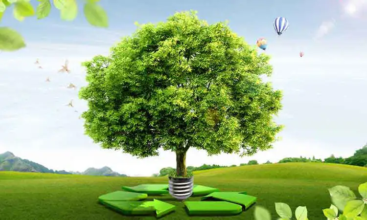 حفاظت منابع طبیعی