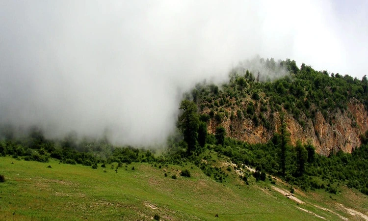 ورودیه پارک‌های جنگلی 