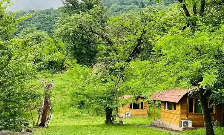  اقامت در پارک‌های جنگلی