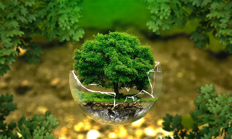 تنوع گیاهی در جنگل هزار پله هیرکانی