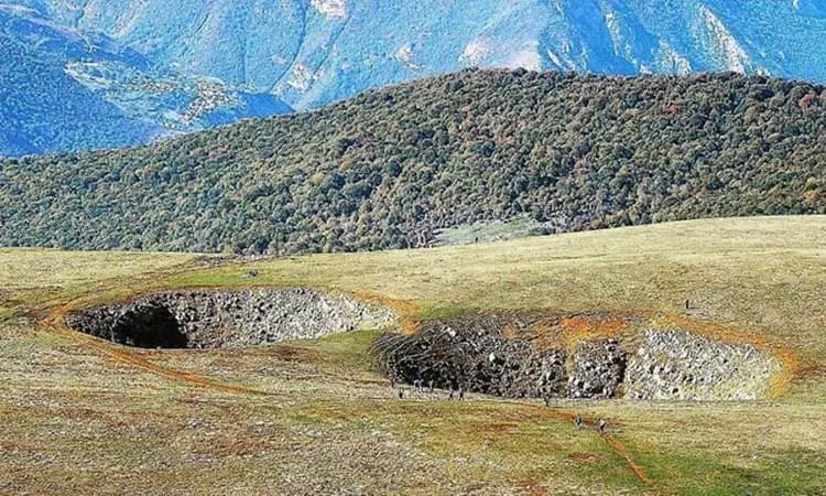 جنگل الیمستان