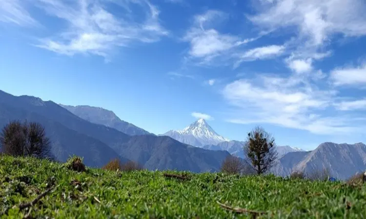جنگل الیمستان