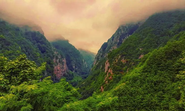 سایه‌بان هزارساله‌ی ما