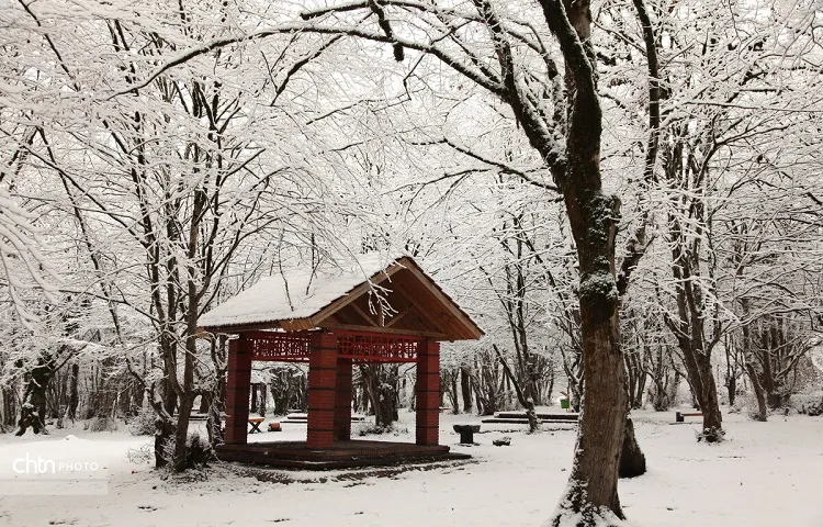 سختی زمستان