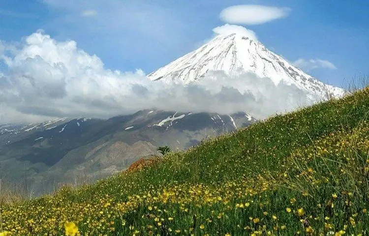 دشت آرزو