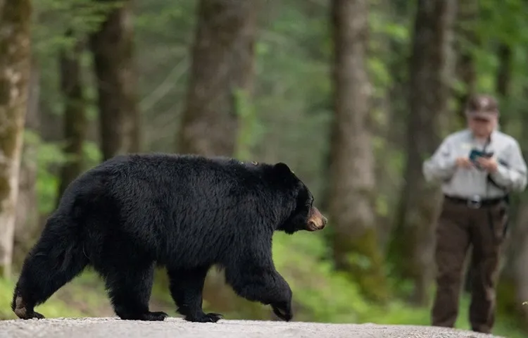 تجهیزات ضروری