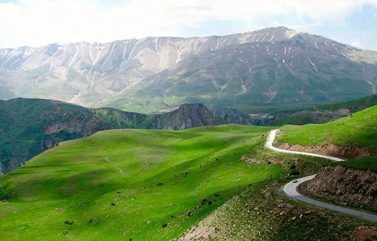 روستای پلور