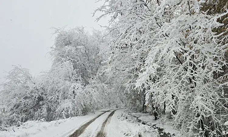 زمستان هزار پله