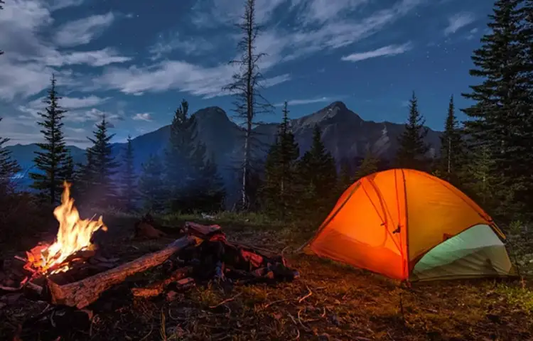 اقامت در جنگل