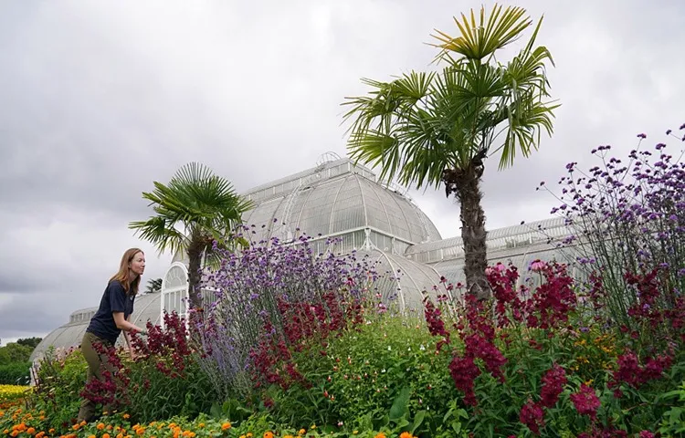 گونه های نادر