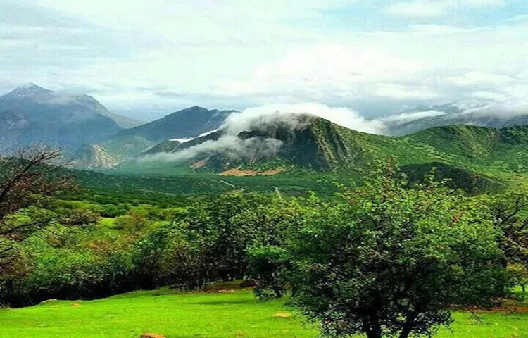 بهترین جنگل های شمال