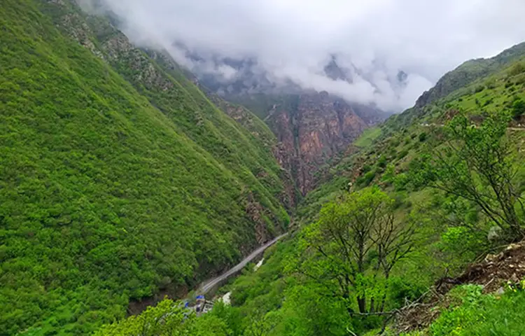 جنگل های شمال