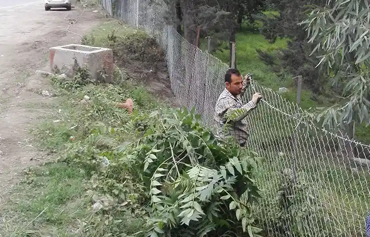 فنس کشی