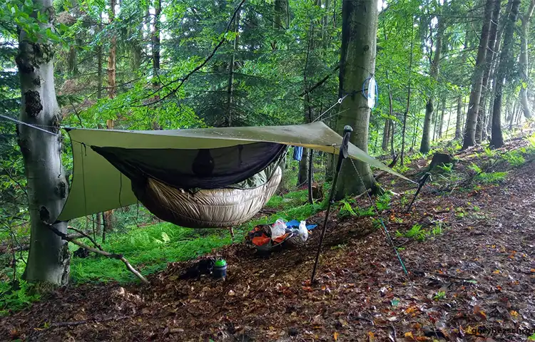 پناهگاه و حفاظت