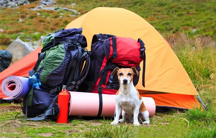 لوازم کمپینگ