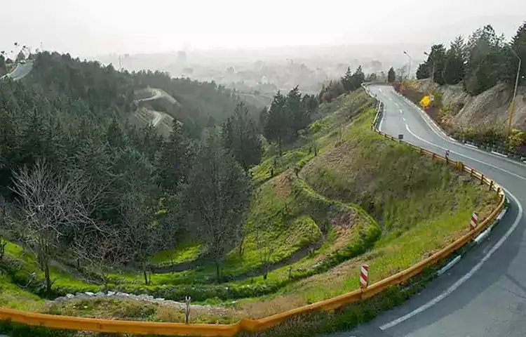 پارک جنگلی لویزان