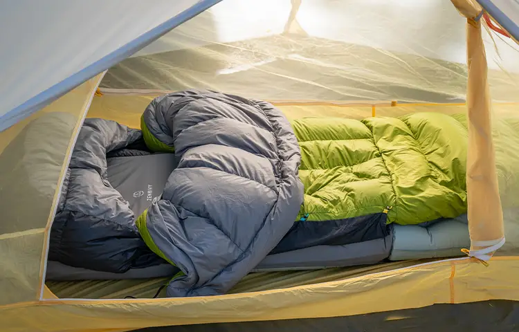 بهداشت فردی