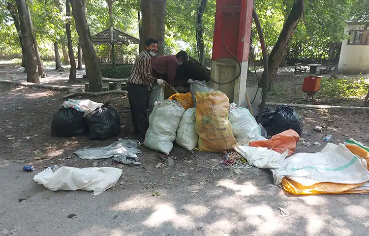 پاکسازی و جمع آوری زباله در ابتدای پروژه