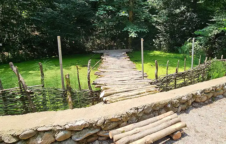 احداث برکه لاک پشت ها