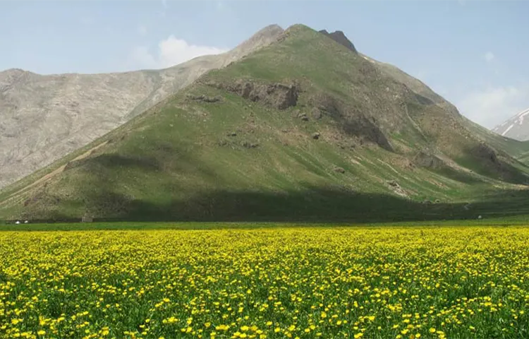 دشت لار
