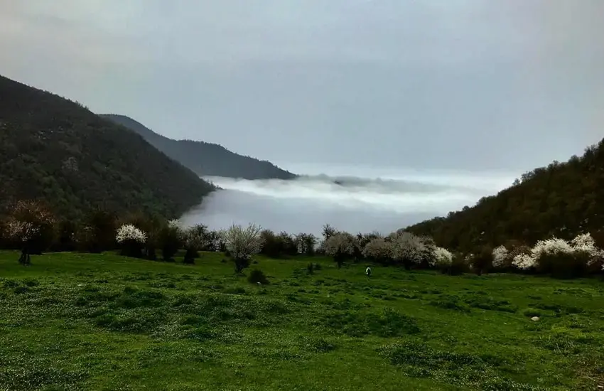 راهنمای بازدید از روستای شاهزید؛ طبیعت بکر و آرامش در دل جاده هراز