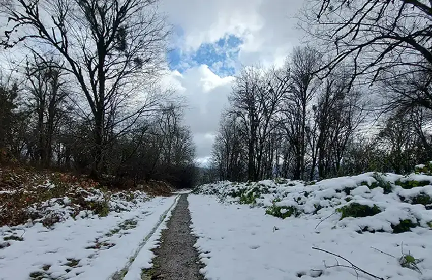 چطور بدون آسیب به طبیعت در جنگل هزارپله گردش کنیم؟