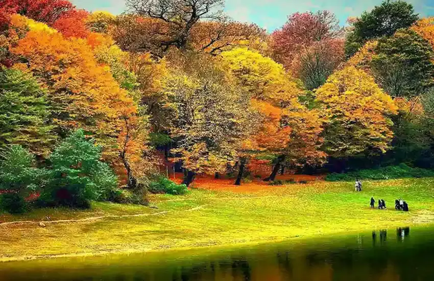 جنگل‌های معروف ایران؛ از هیرکانی تا بلوط‌زارهای غرب