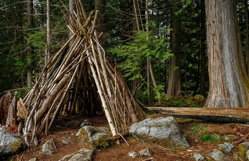 ساخت سرپناه در جنگل؛ مهارتی برای بقا و زندگی در دل طبیعت