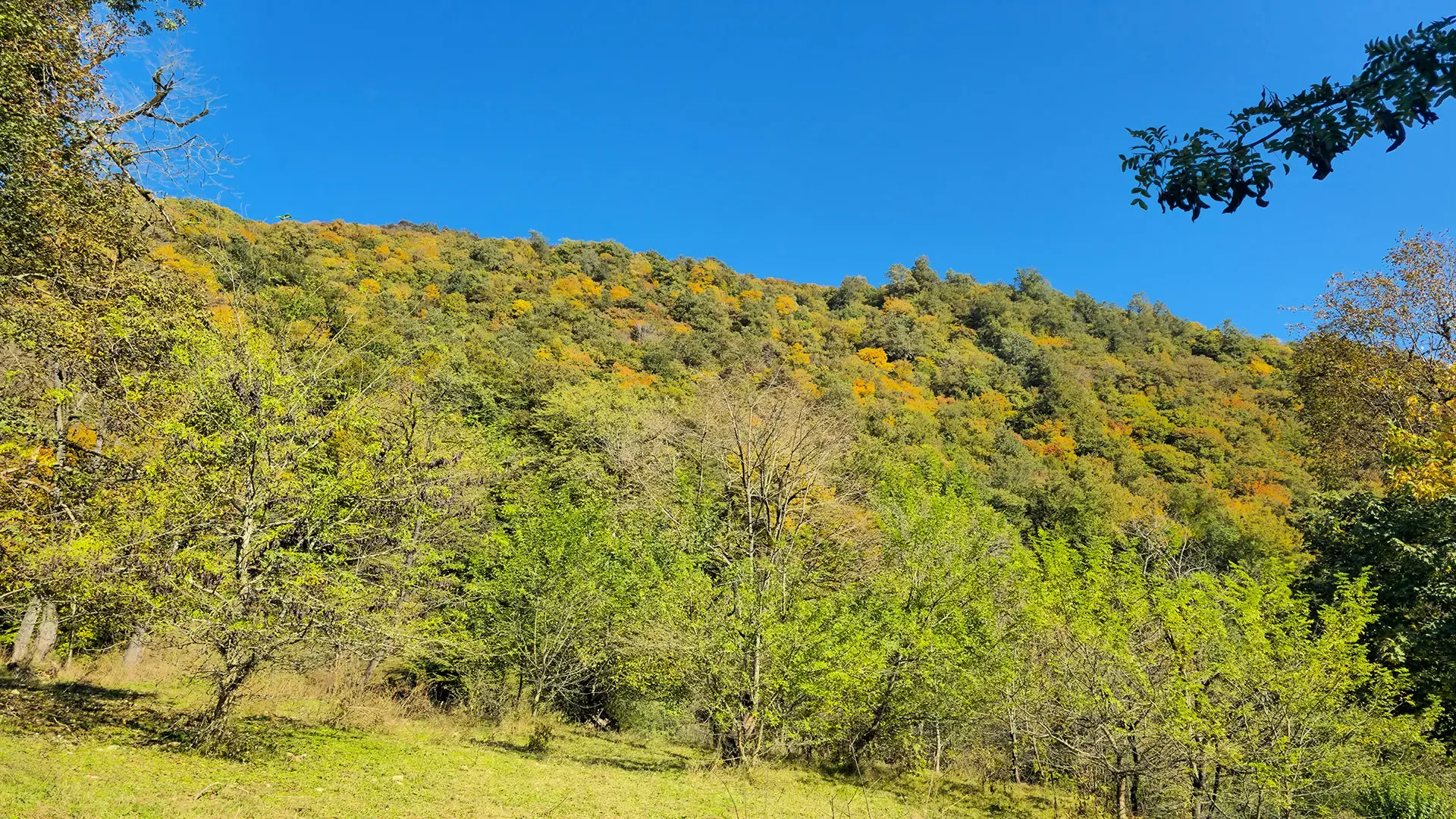 اسلاید اول، فصل بهار